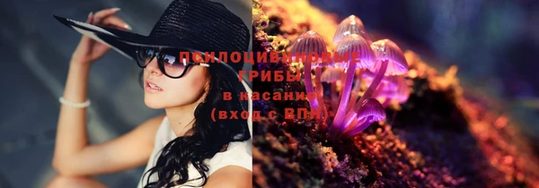 спайс Медногорск