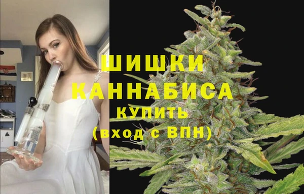 спайс Медногорск