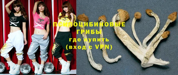 стафф Мегион