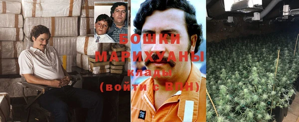 стафф Мегион