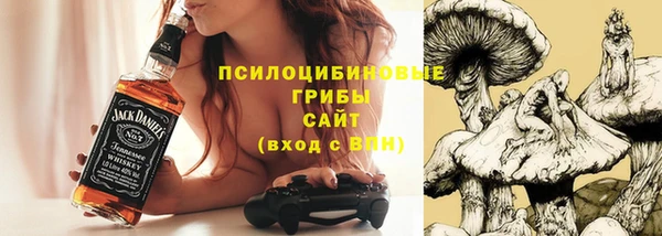 спайс Медногорск