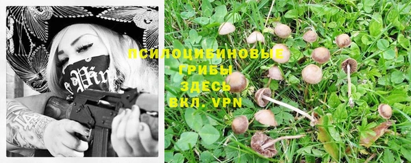 гашик Михайловка