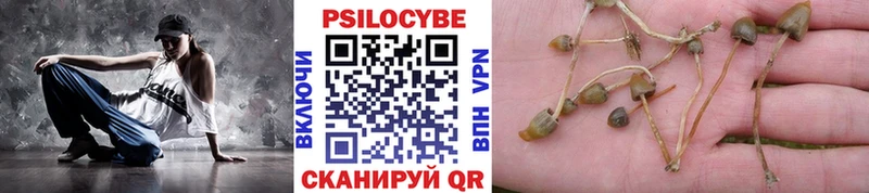 Галлюциногенные грибы Magic Shrooms блэк спрут вход Дзержинск где найти наркотики