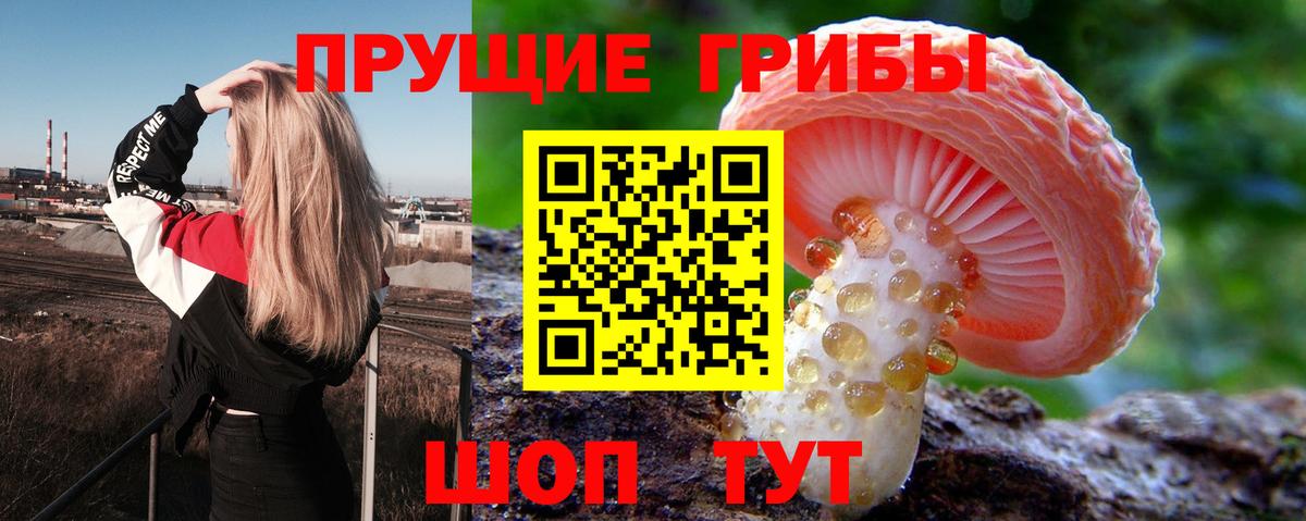 Псилоцибиновые грибы Cubensis  Дзержинск 