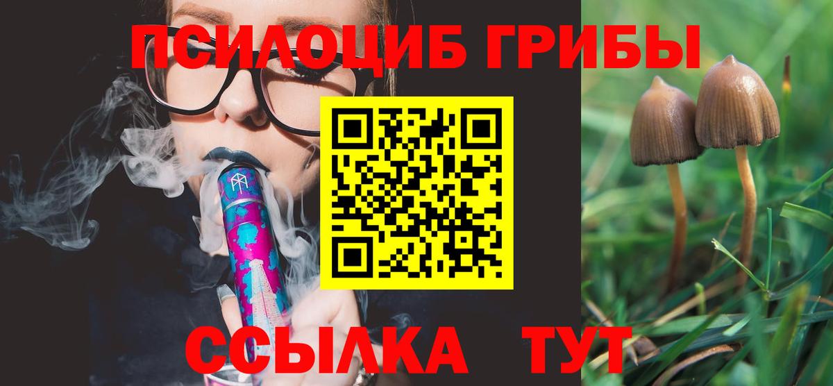 Псилоцибиновые грибы MAGIC MUSHROOMS Дзержинск